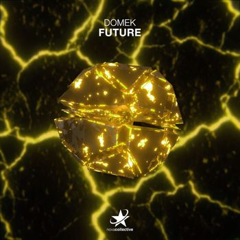 Domek - Future