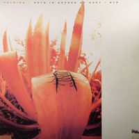 Pelding - Days In Shades Of Grey (Explicit)