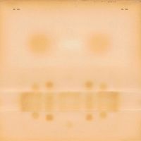Dr. Dog - Love Struck