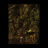 Coppice Halifax - Pulverizer