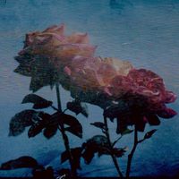 Ricardo Castro - Alma Rosa - The Beginning of a Dream, Pt. 2