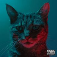 Marie Davidson - Pleasure On My Mind (Explicit)