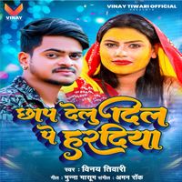 Vinay Tiwari - Chaap Delu Dil Ye Haradiya
