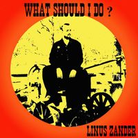 Linus Zander - What Should I Do?