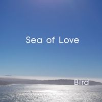 Bird - Sea of Love