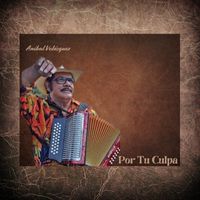 Anibal Velasquez - Por Tu Culpa