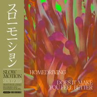Slow Motion - Homedriving