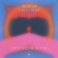 Croquet Club - Don't Say (Talee's Pool Party Mix)