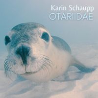 Karin Schaupp - Otariidae