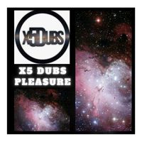 X5 Dubs - Pleasure