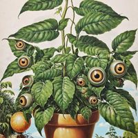 Sound Scientists - Each Tree Seed