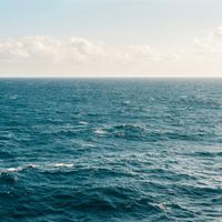 Shari - Good Luck, Babe!