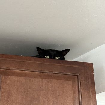 Cast - Cat (Explicit)