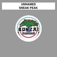 Unnamed - Sneak Peak