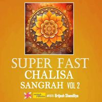 Brijesh Shandilya - Super Fast Chalisa Sangrah, Vol. 2