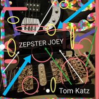 Tom Katz - Zepster Joey
