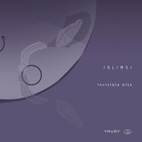 /DL/MS/ - Invisible Bits
