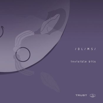 /DL/MS/ - Invisible Bits