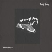 Pedestrian - BIG DOG (Explicit)