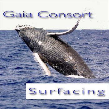 Gaia Consort - Surfacing