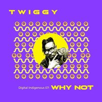 Twiggy - Digital Indigenous 07: Why Not