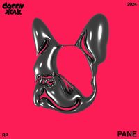 Danny Kolk - Pane