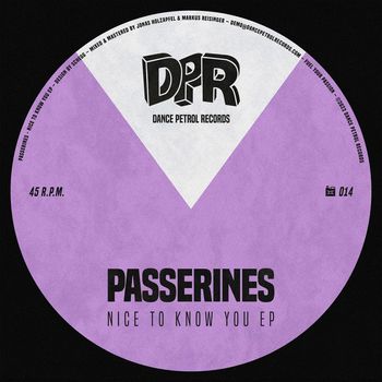 Passerines - Nice to Know You