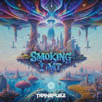 Transfuse - Smoking DMT