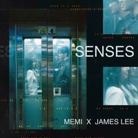 James Lee - SENSES