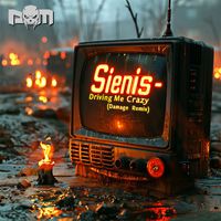 Sienis - Driving Me Crazy (Damage Remix)