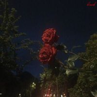 bleed - From Across the Classroom (Explicit)