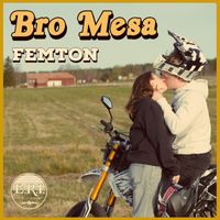 BroMesa - Femton