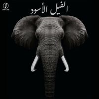 Mido - الفيل الأسود