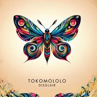 Tokomololo - Disglair