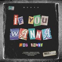Guy Burns - If You Wanna