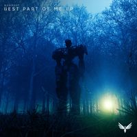 N3WPORT - Best Part Of Me