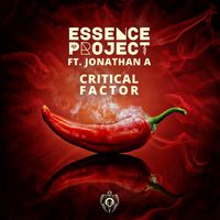 Essence Project - Critical Factor