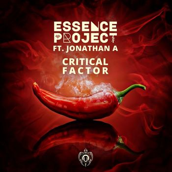 Essence Project - Critical Factor