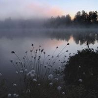 MJBerg - 'Milestones'