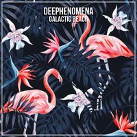 Deephenomena - Galactic Beach
