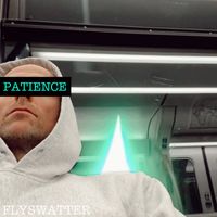Flyswatter - Patience