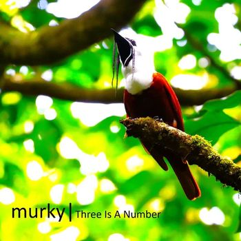 Murky - Three Is a Number