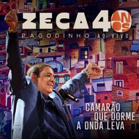 Zeca Pagodinho - Camarão Que Dorme A Onda Leva (Ao Vivo)