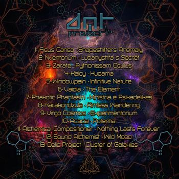 Various Artists - DMT Project