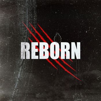REQ - Reborn