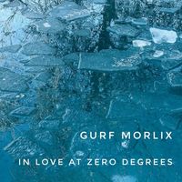 Gurf Morlix - In Love at Zero Degrees (Explicit)