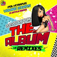 Polycarpus - Young Birds (K-Style Remix)
