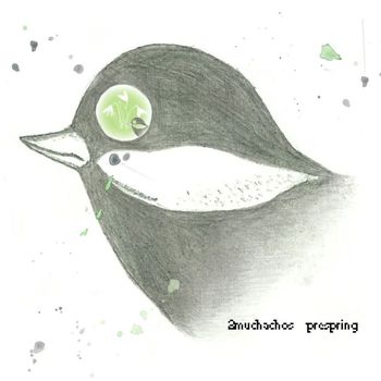 2muchachos - prespring