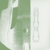 Steve Roden - Splint