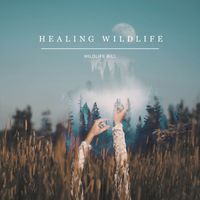 Wildlife Bill - Healing Wildlife